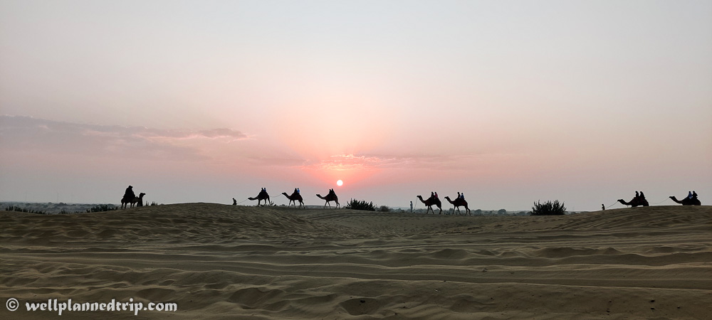 Sun rise camel safari, Sam sand dunes, Jaisalmer, Rajasthan 