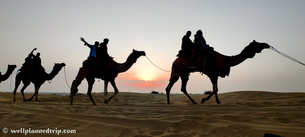 Sun rise camel safari, Sam sand dunes, Jaisalmer, Rajasthan 