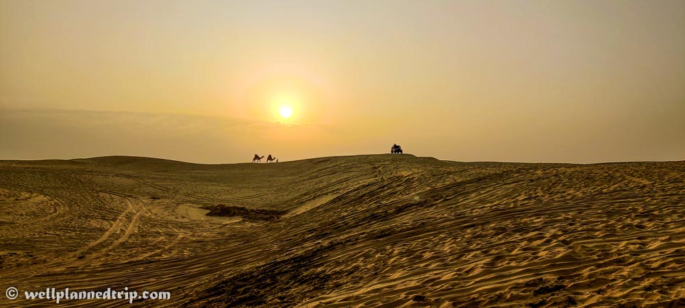 Sun rise camel & jeep safari, Sam sand dunes, Jaisalmer, Rajasthan 