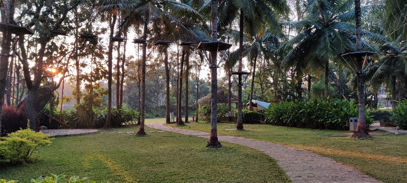 Beautiful lawn space with coconut trees, Windflower Prakruthi Resort & Spa, Bangalore