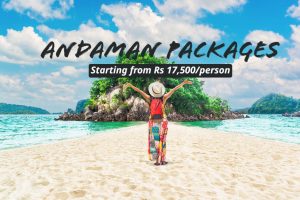 Read more about the article Andaman tour packages